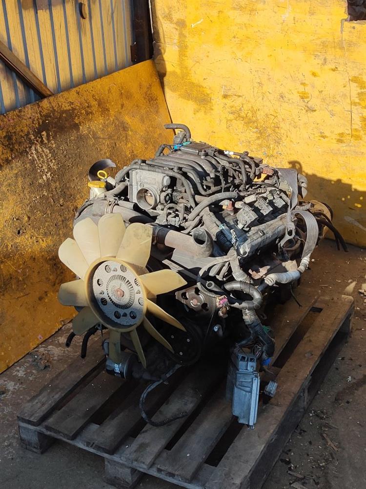 Двигатель Исузу Визард в Сургуте 68218